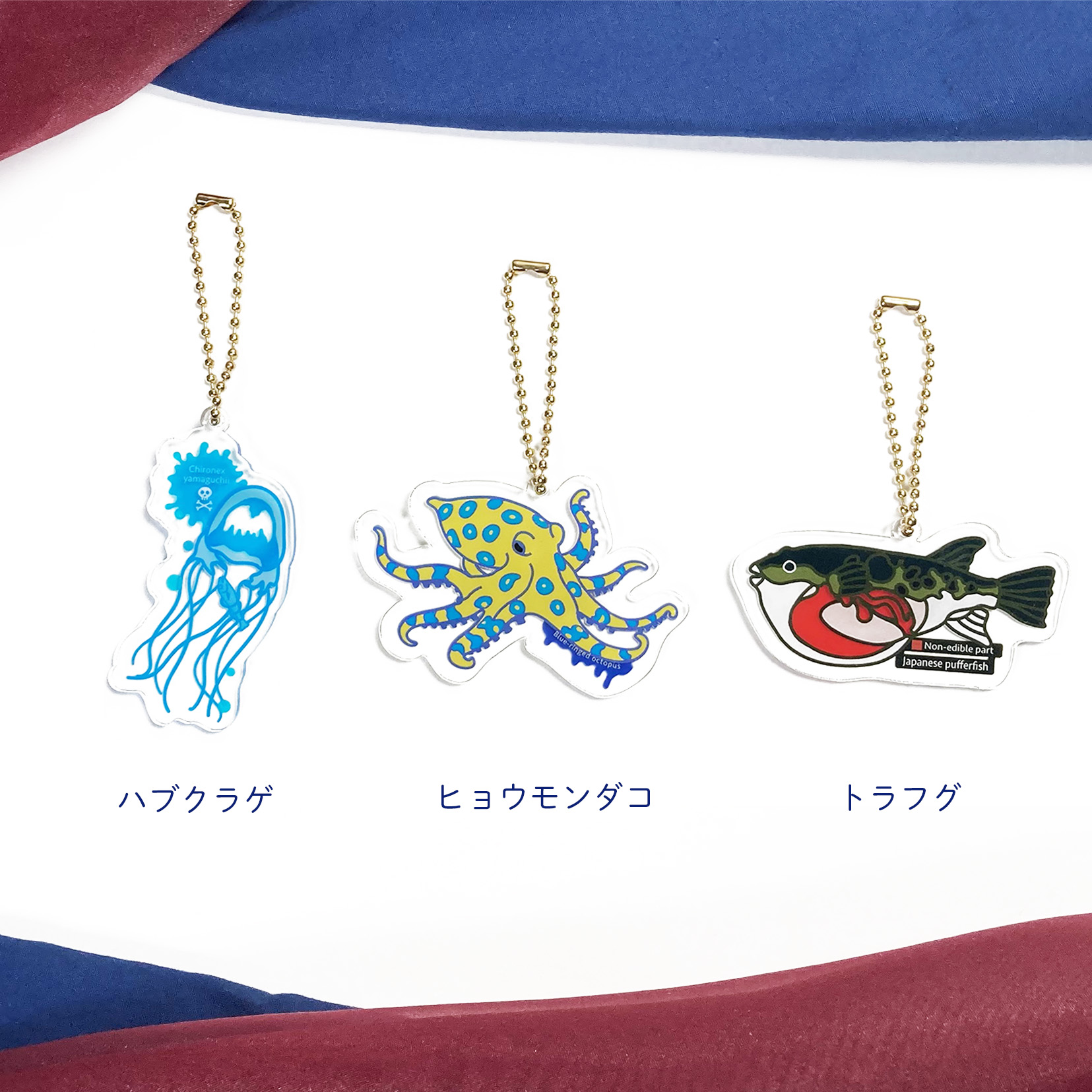 ｱｸﾘﾙｷｰﾎﾙﾀﾞｰ 有毒 | 智光法人向けオンラインショップ（水族館、植物園